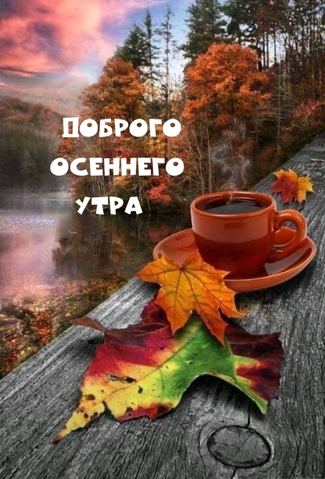 Доброго осеннего утра.