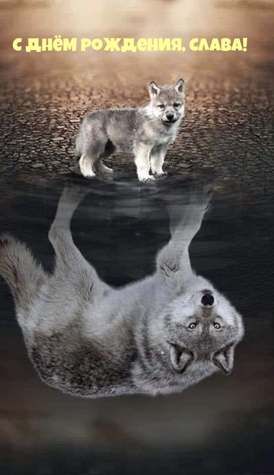   , !.