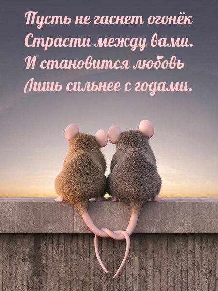   :       .