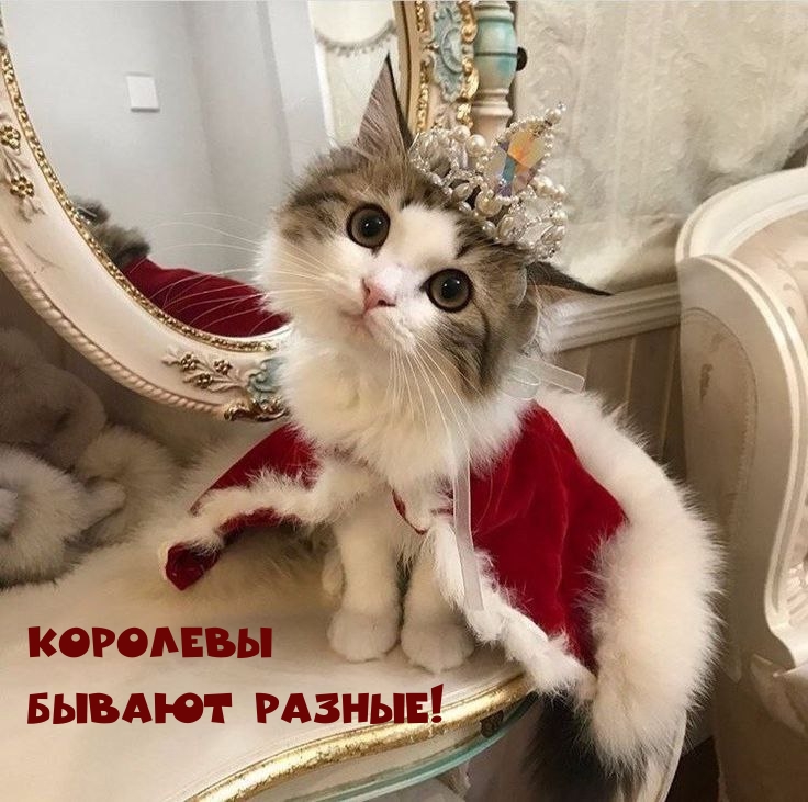   !