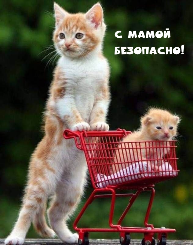   !.