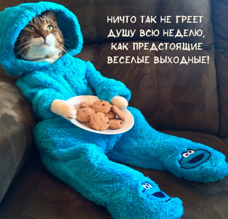       ,   !