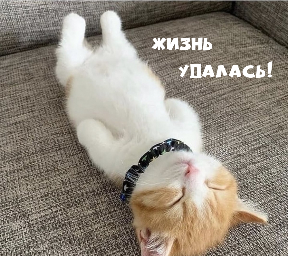  !