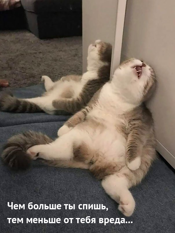   :    ,     ...