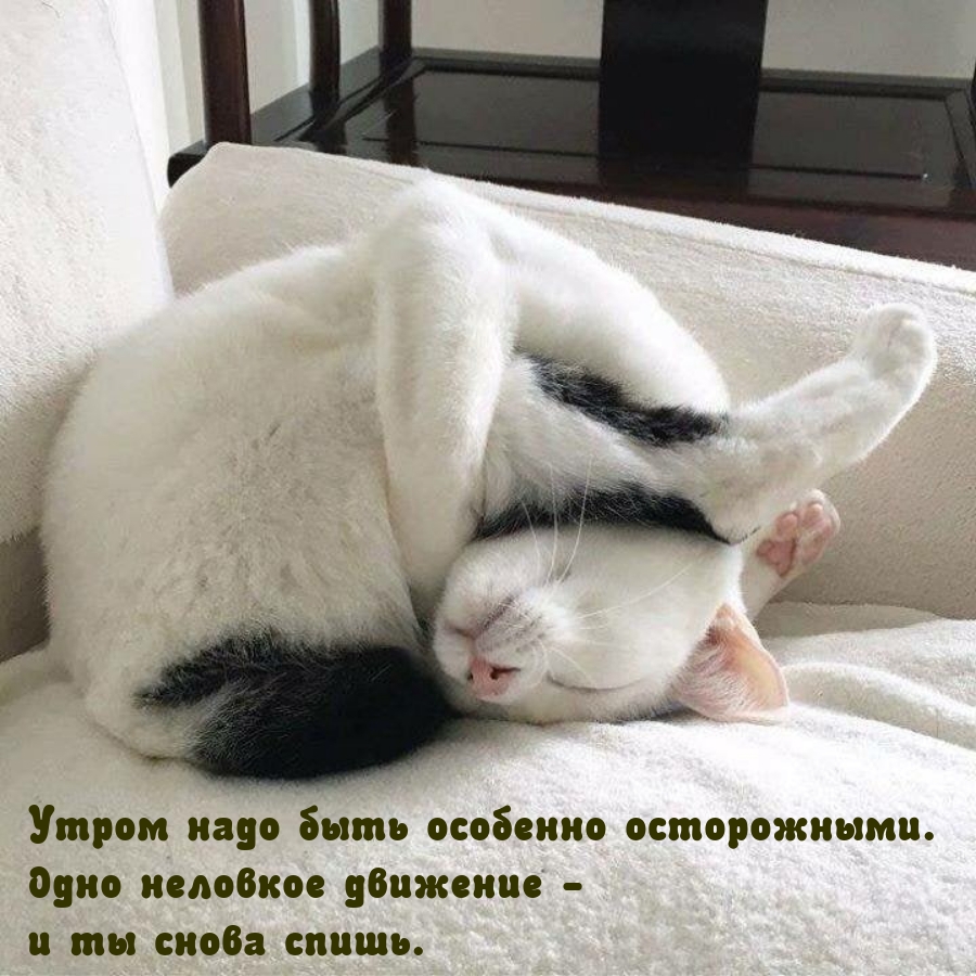   :     . 