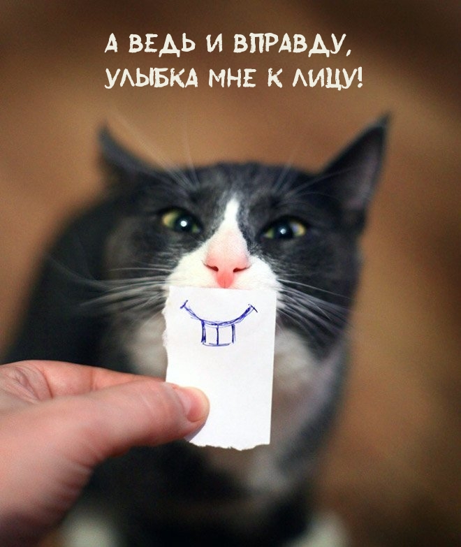 А ведь и вправду, улыбка мне к лицу!.