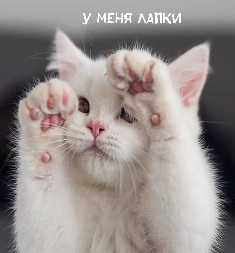   :   