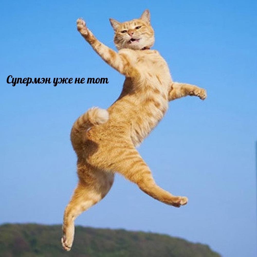   :    