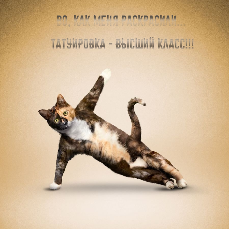   : ,   ...  -  !