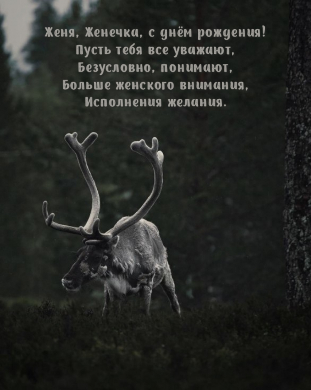 , ,   !    