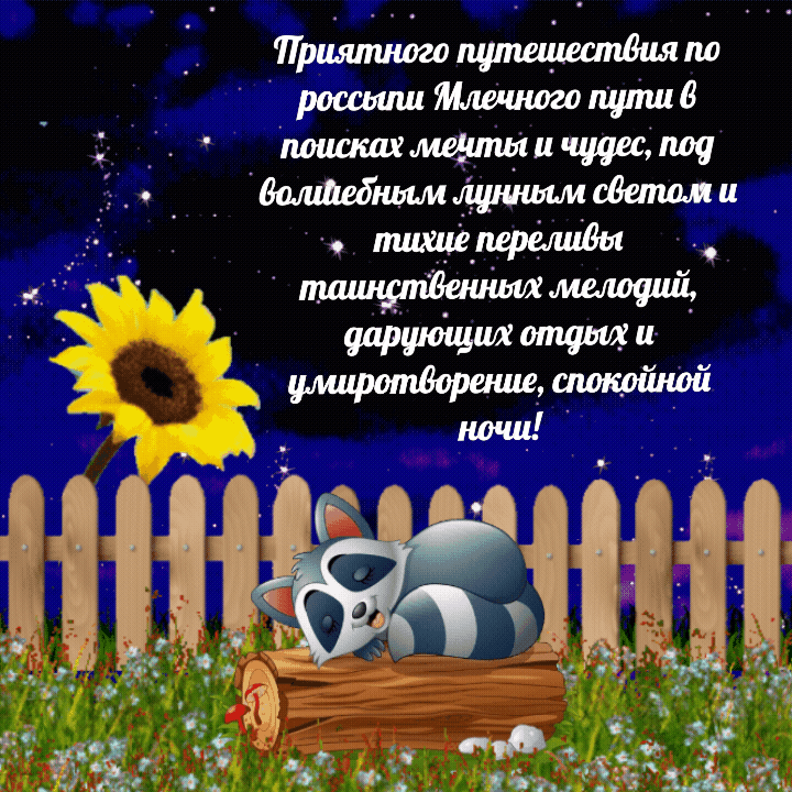   :      
