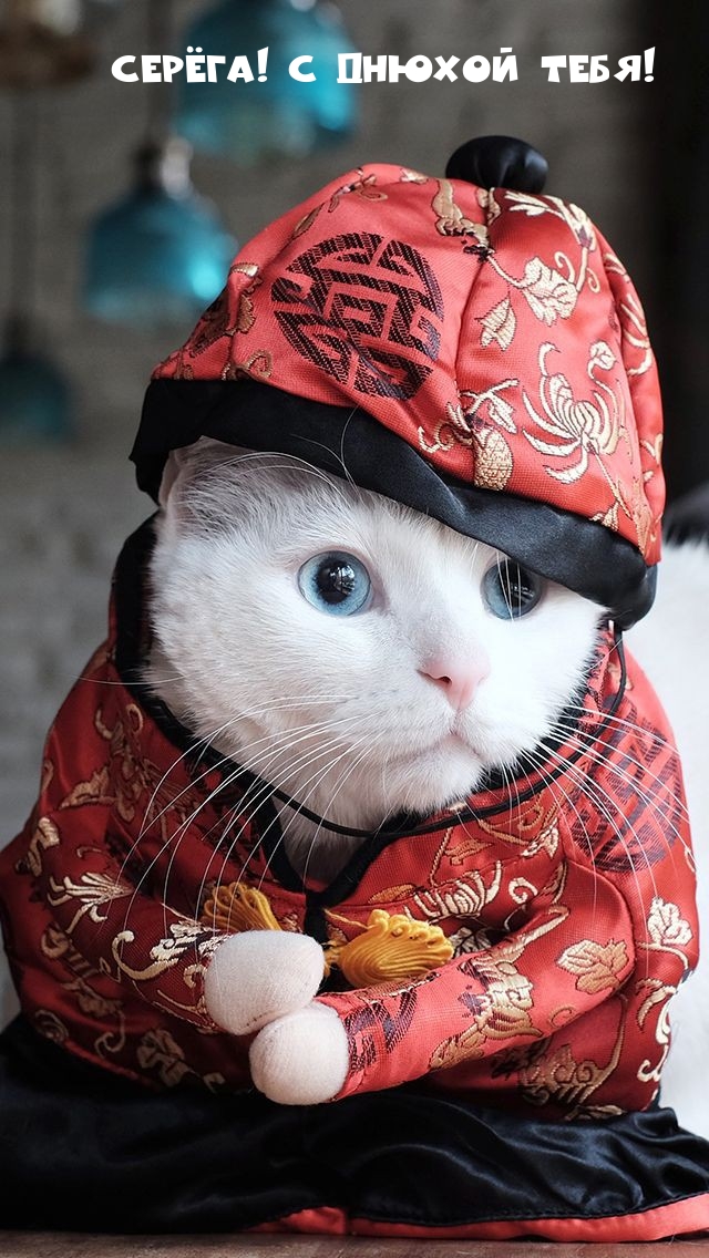 !   !.