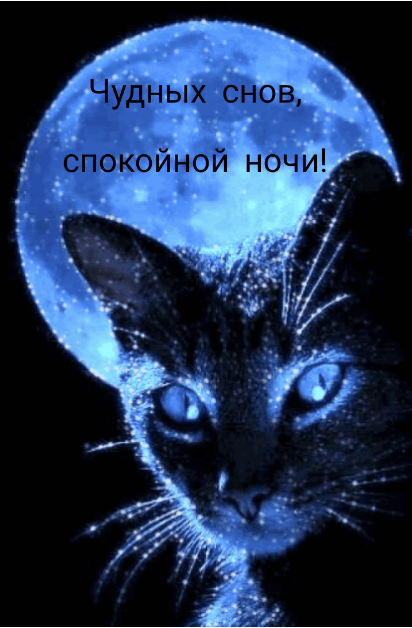 Чудных снов, спокойной ночи!.