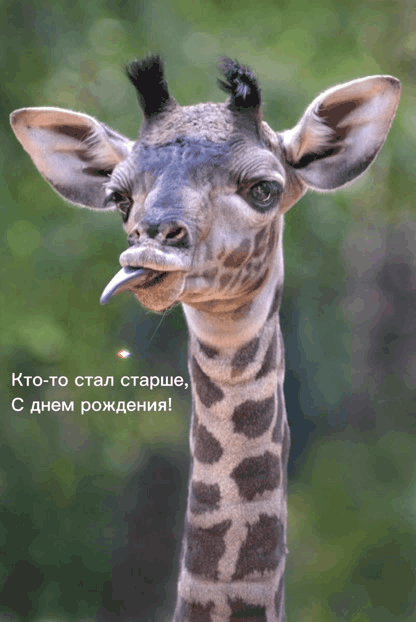   :  -   ,  !