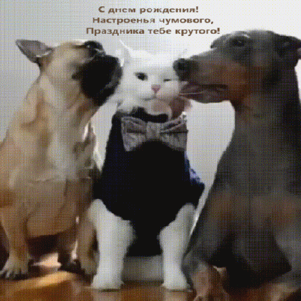   :   !  