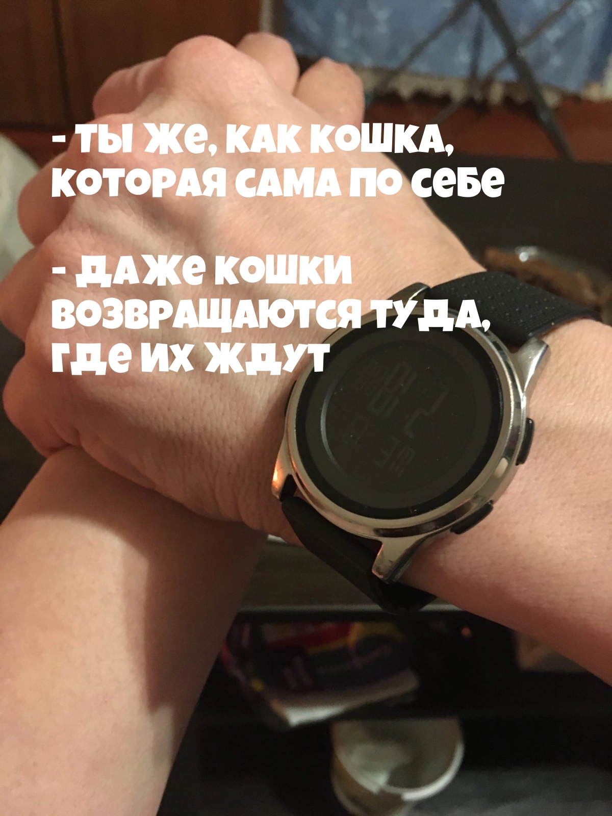  : -    ,   