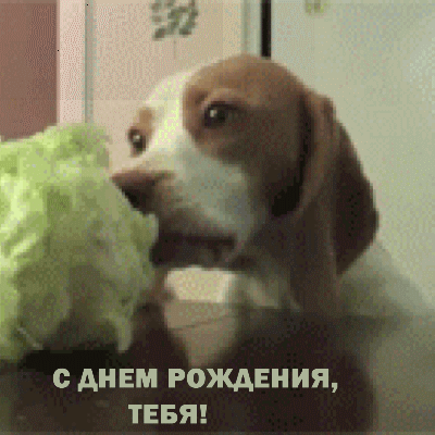   :   , !