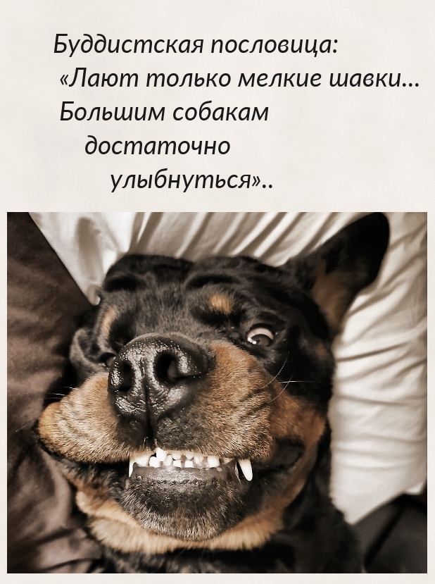   :    ...    