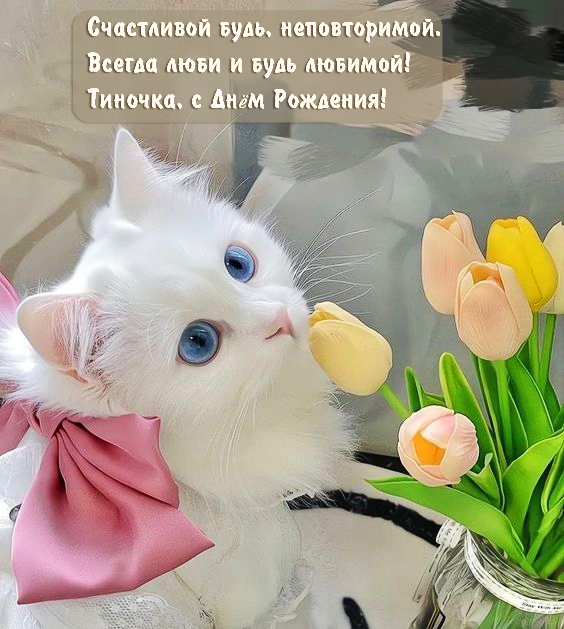     ! ,   !.