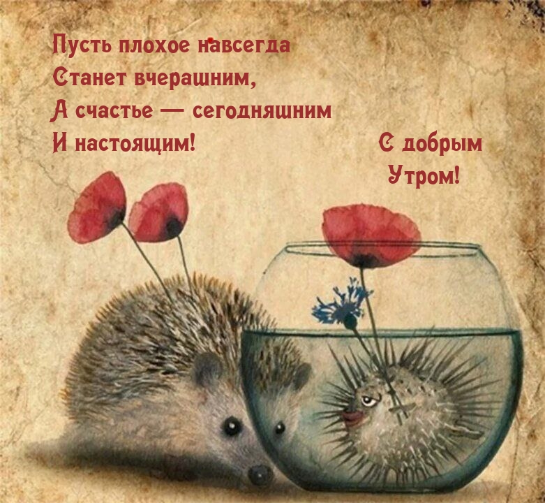   :      !   !  