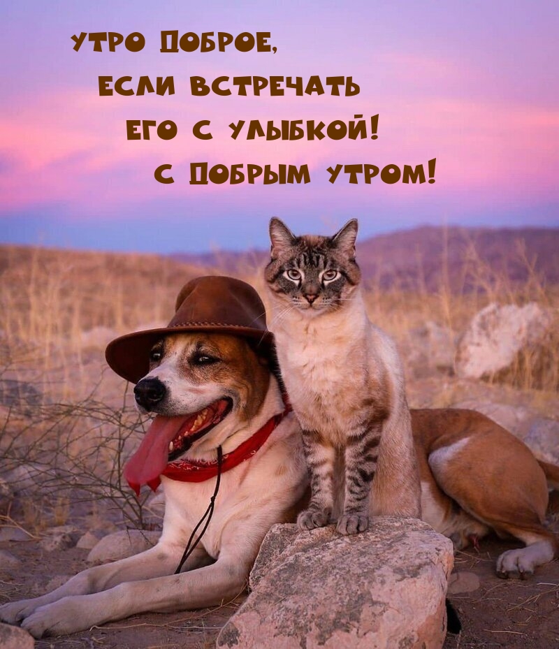   :  ,     !   !
