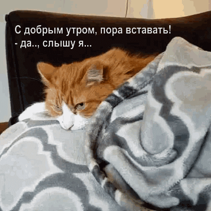 Картинки с надписями С добрым утром, пора вставать!