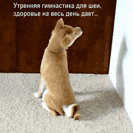 Картинки с надписями Гимнастика для шеи, здоровье на день дает