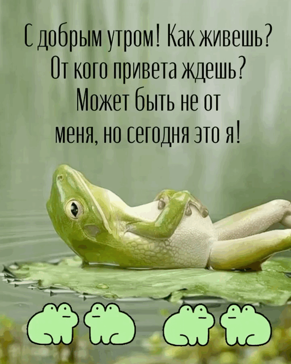   :   !  ?