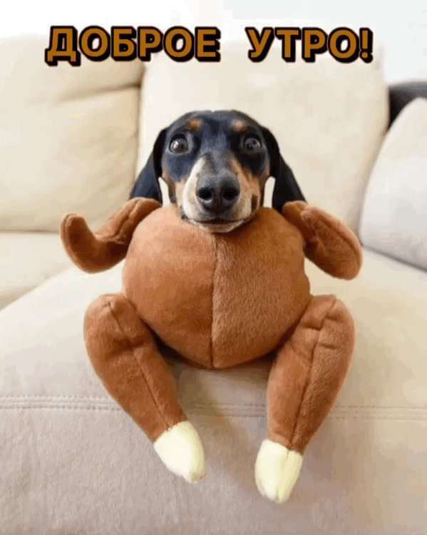   :  !