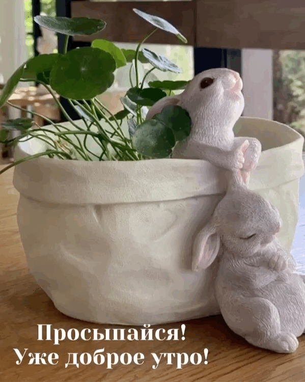 Картинки с надписями Просыпайся! Уже доброе утро!