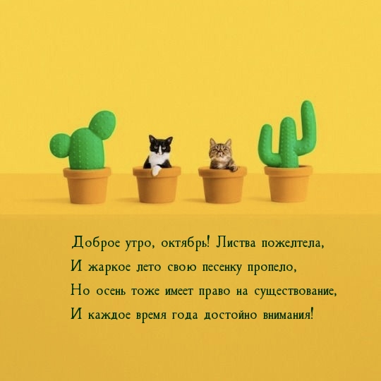  , !  .