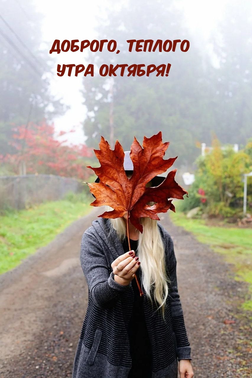 ,   !