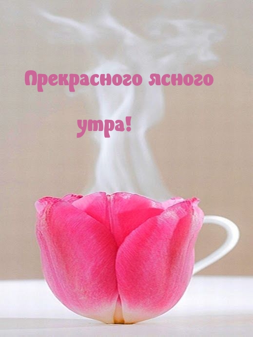   !.
