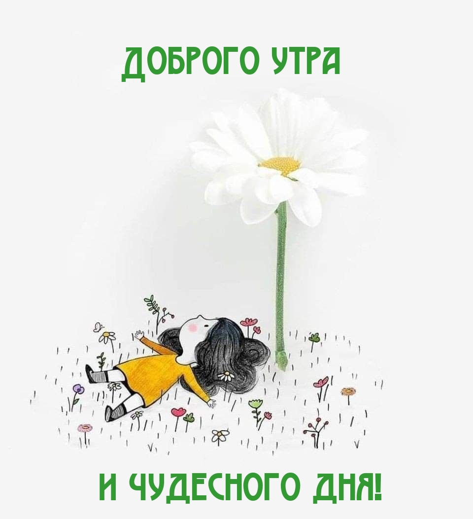 Доброго утра и чудесного дня!