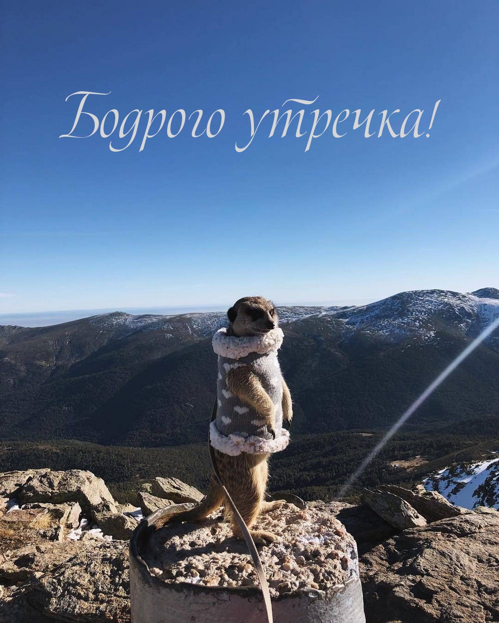   :  !