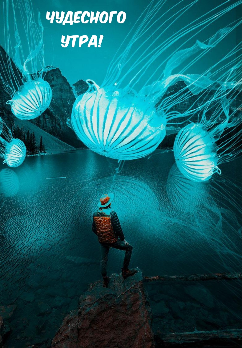  !