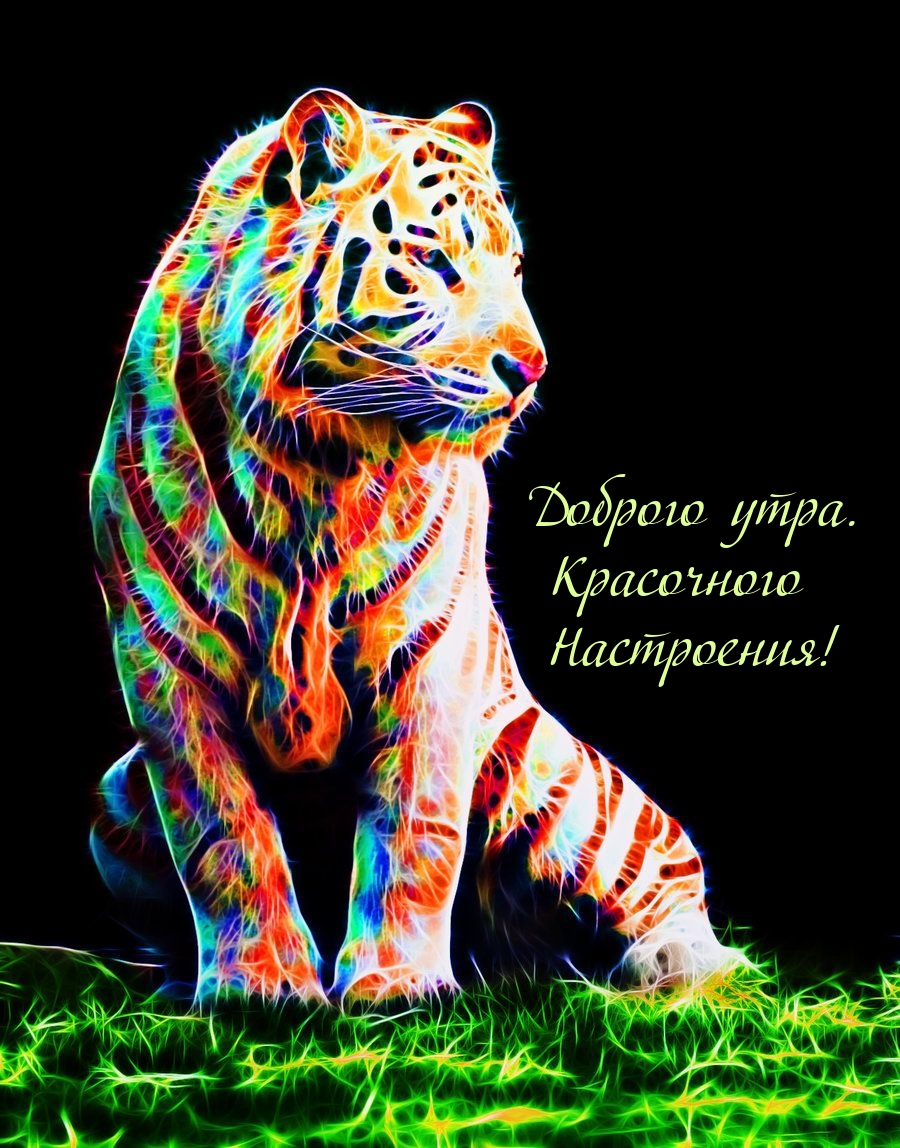  :  .  !