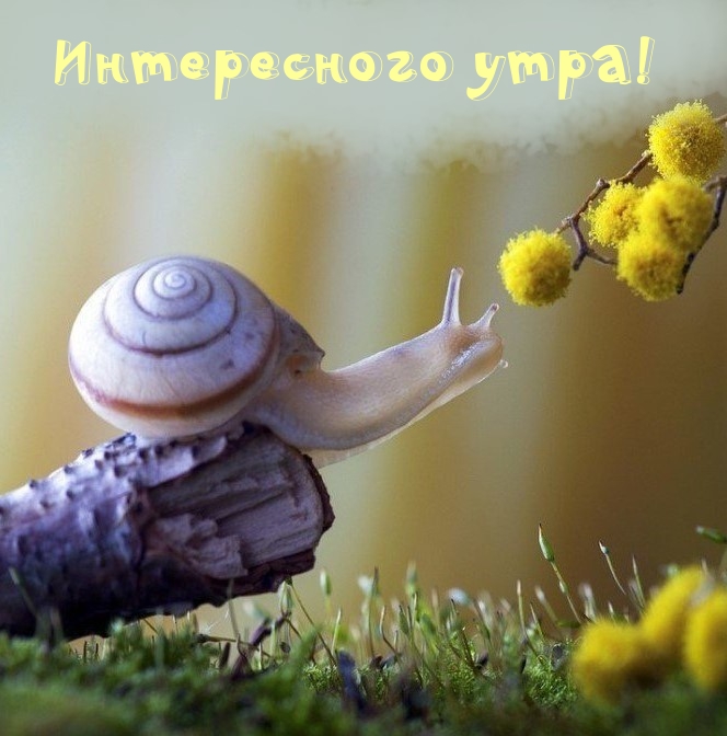   :  !