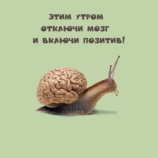       !.