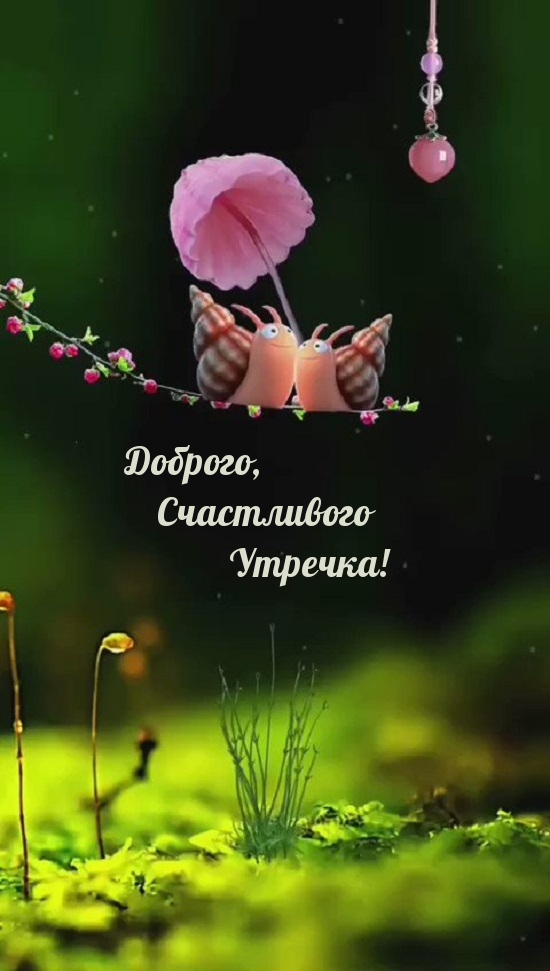 ,  !.