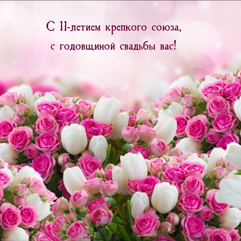  11-  ,    !