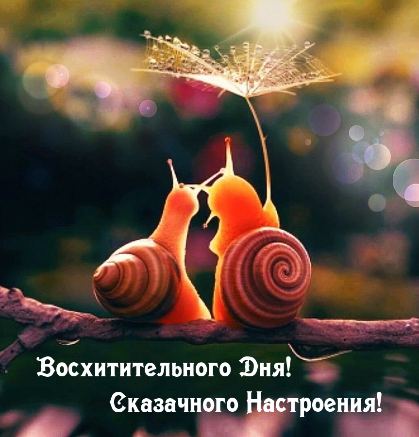  !  !