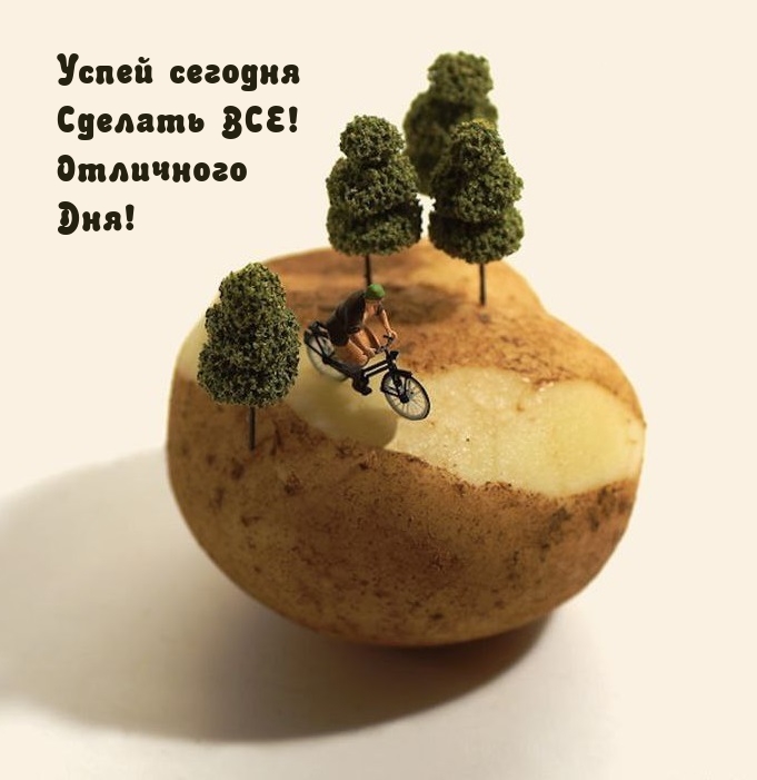    !  !.