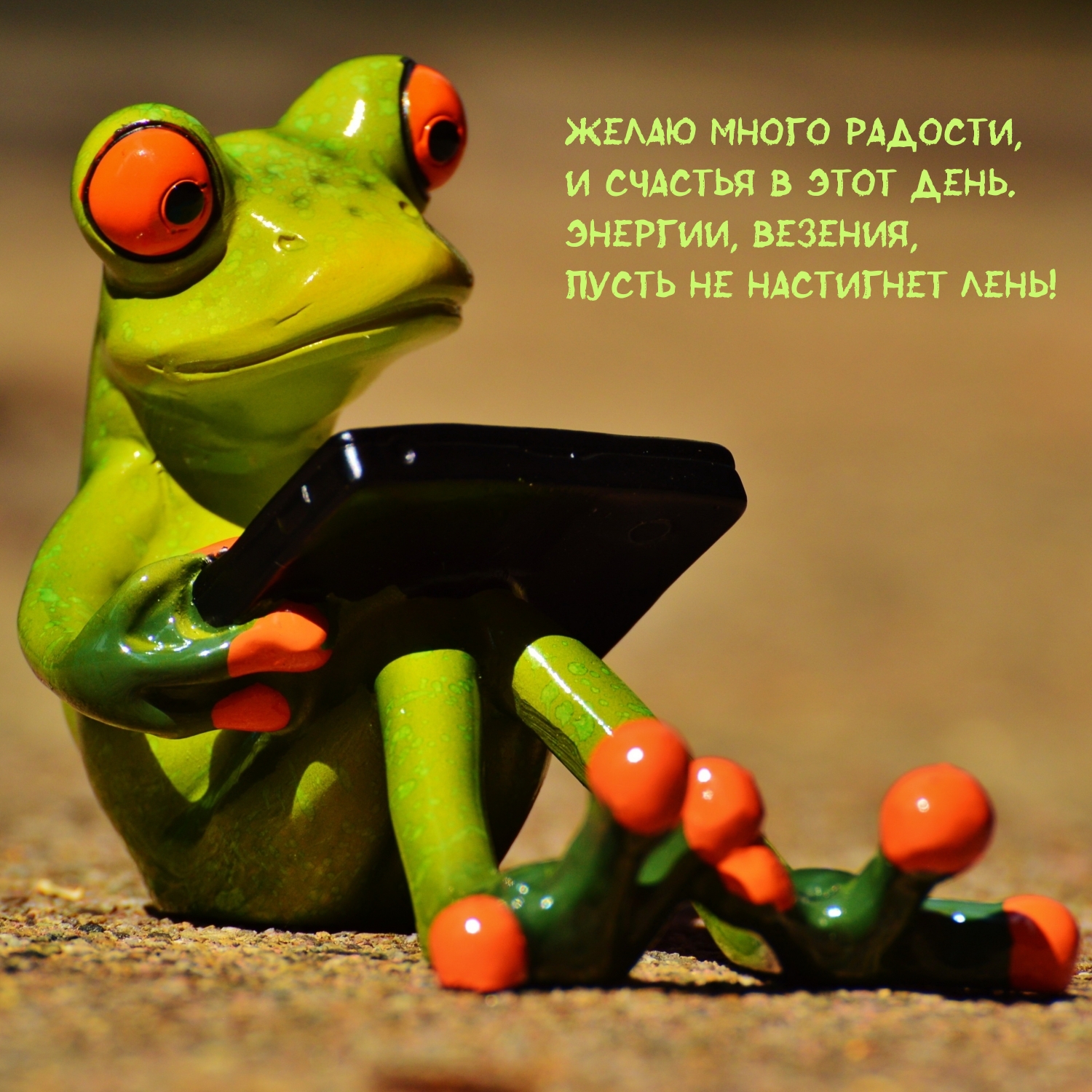 Желаю много радости, и счастья в этот день.