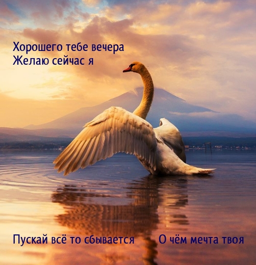   :    