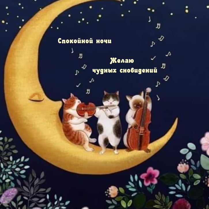   :      