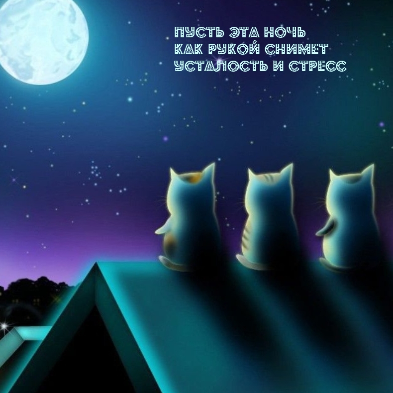 Спокойная ночь 2023. Доброй ночи стильные. Спокойной ночи картинки необычные. Кот и звезды. Доброй ночи кошки.
