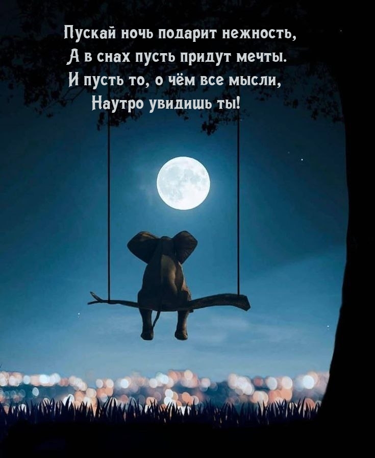 Пускай ночь подарит нежность, а в снах пусть придут мечты.