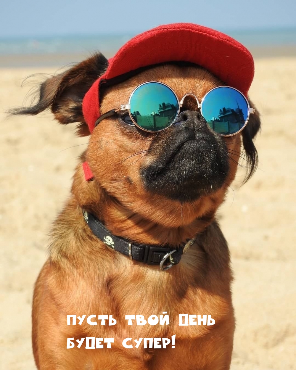   :     !