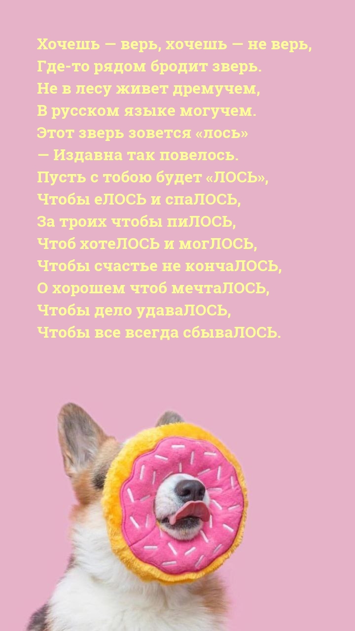   ,    , -   ..